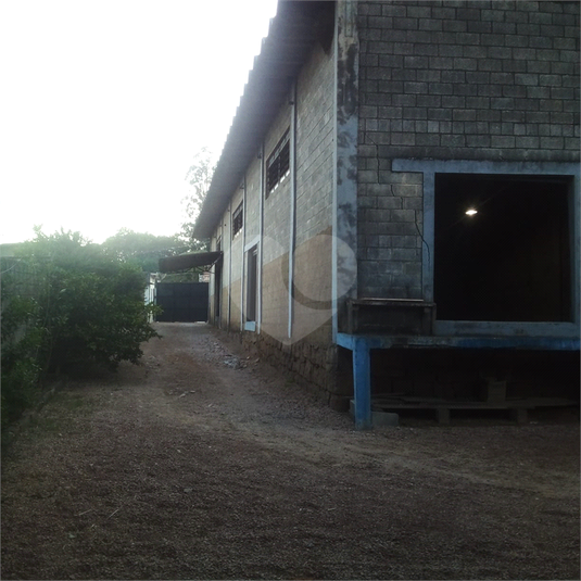 Foto REO1087191