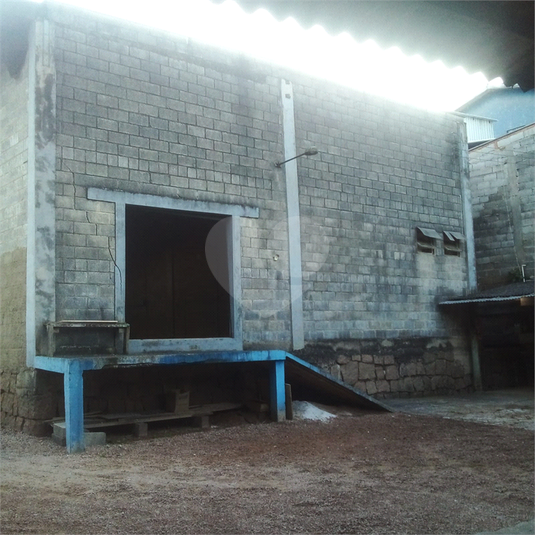 Foto REO1087191