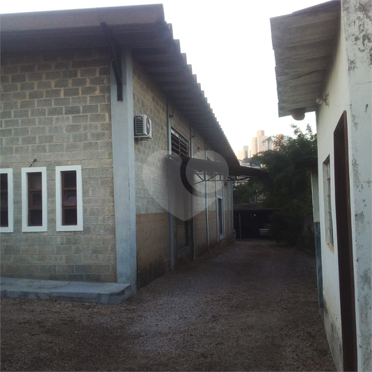 Foto REO1087191