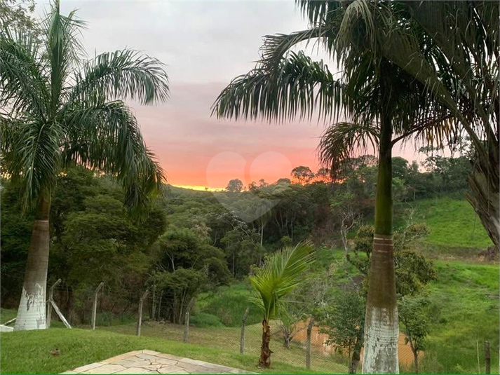 Foto REO1087217