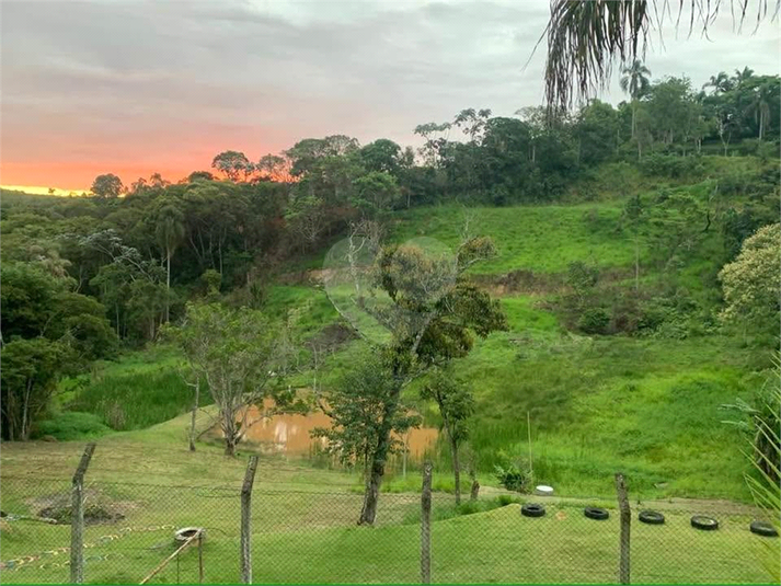 Foto REO1087217