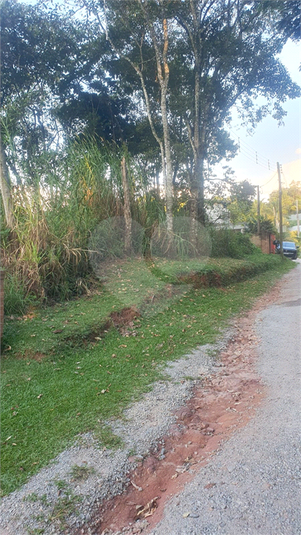 Foto REO1087240