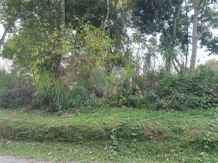 Foto REO1087240