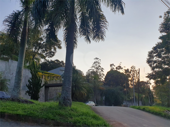 Foto REO1087240