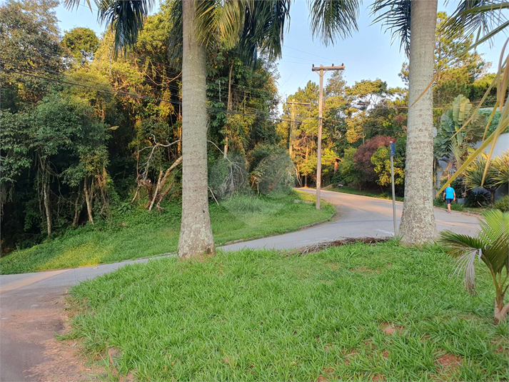 Foto REO1087240