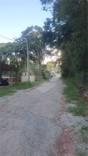 Foto REO1087240