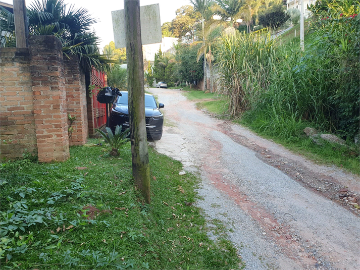 Foto REO1087240