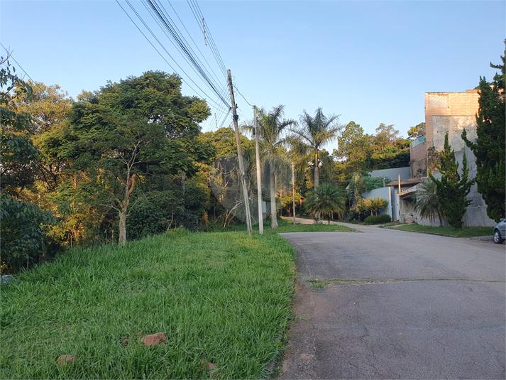 Foto REO1087240