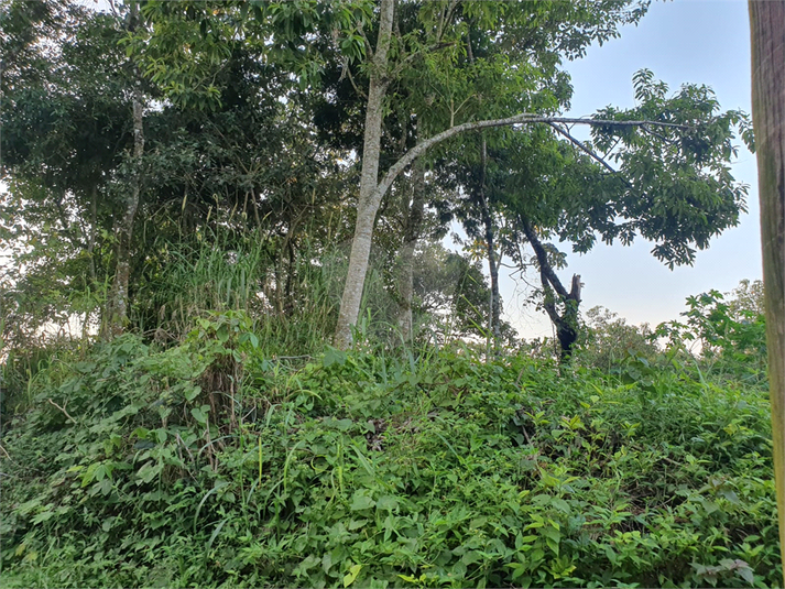 Foto REO1087240