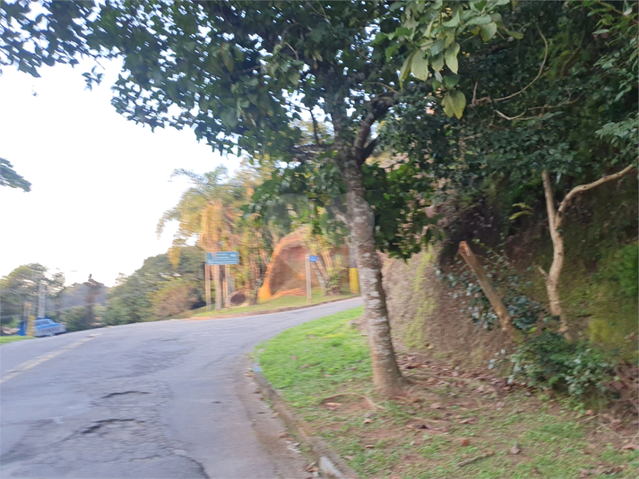 Foto REO1087240