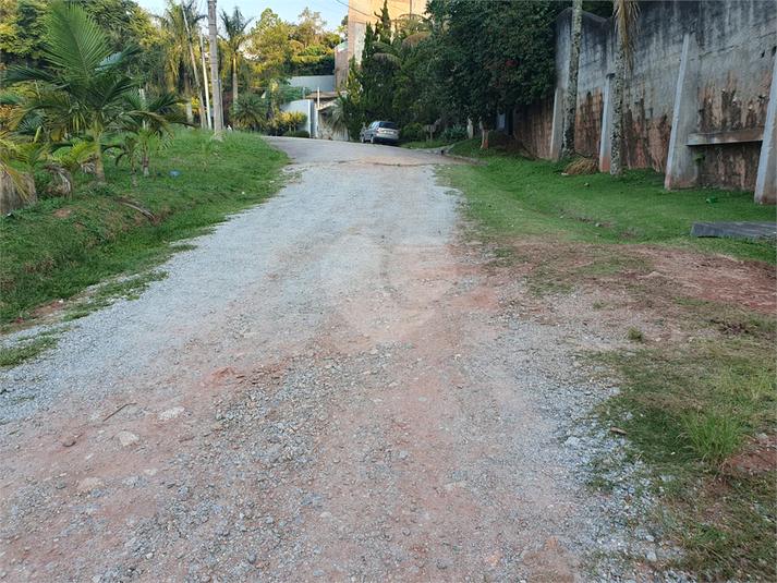 Foto REO1087240