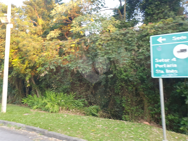 Foto REO1087240