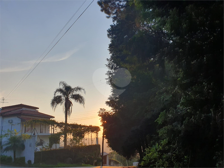 Foto REO1087240