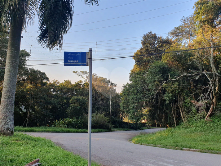 Foto REO1087240