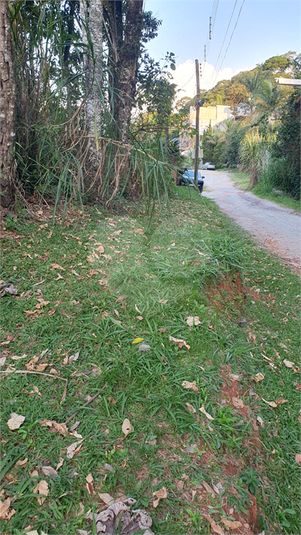 Foto REO1087240