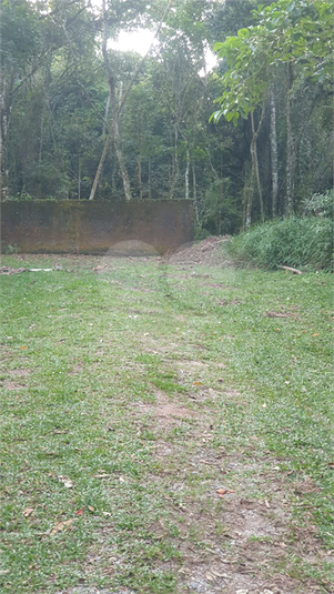 Foto REO1087240
