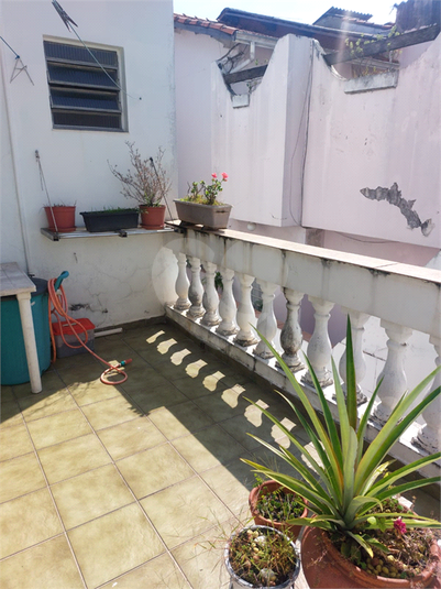 Foto REO1087248