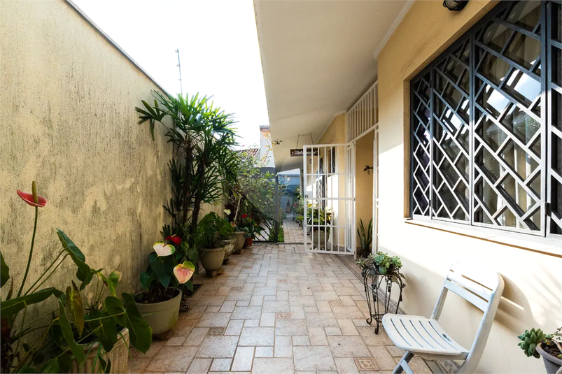 Foto REO1087261