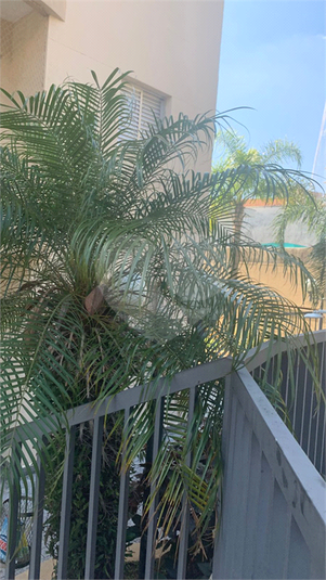 Foto REO1087266