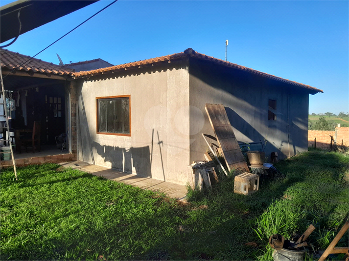 Foto REO1087279