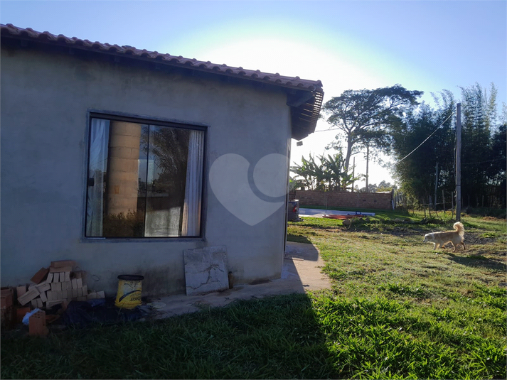 Foto REO1087279