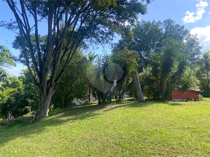 Foto REO1087281
