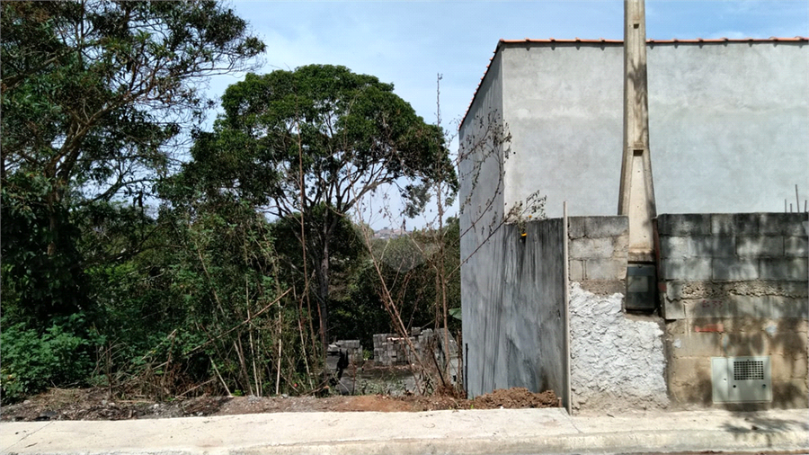 Foto REO1087291