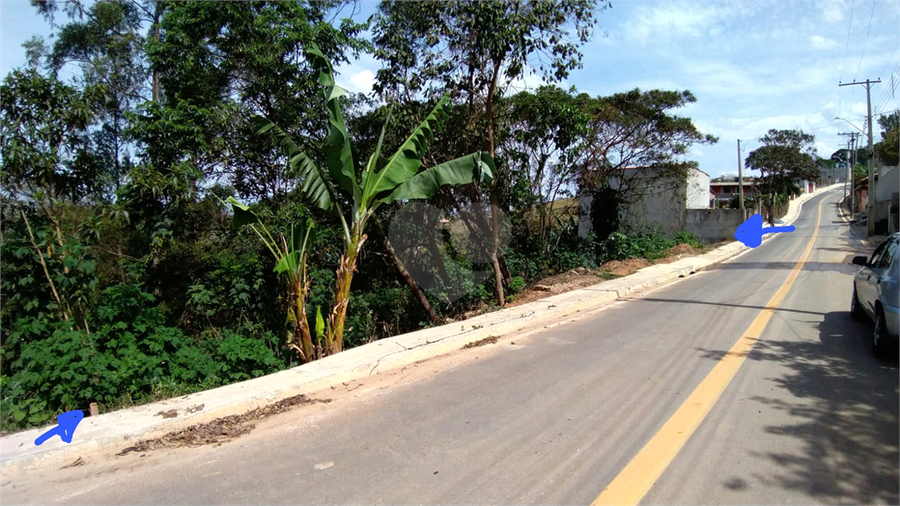 Foto REO1087291