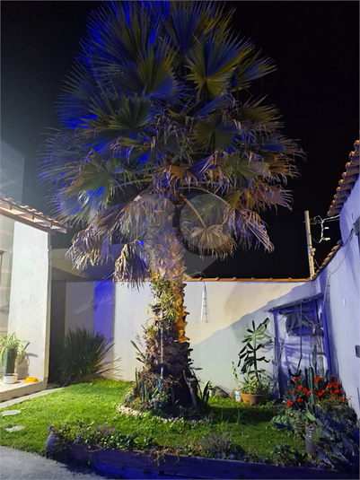 Foto REO1087304