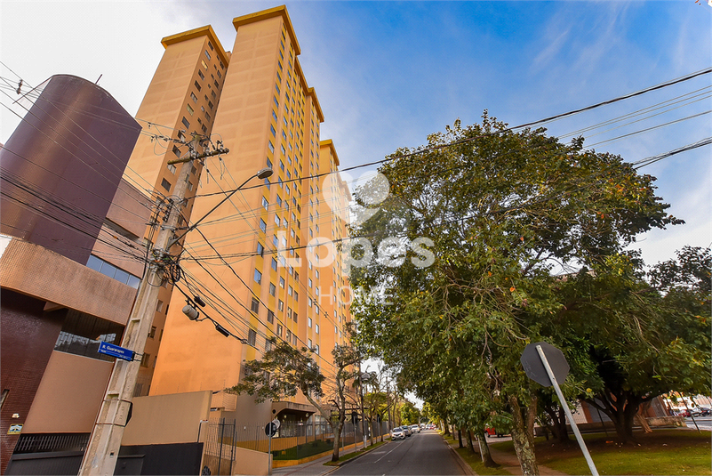 Foto REO1087305