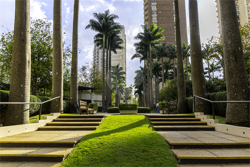 Foto REO1087326