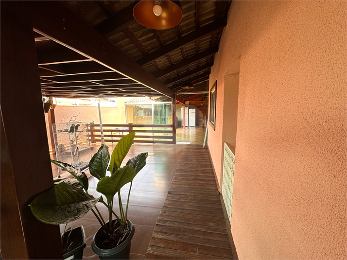 Foto REO1087346