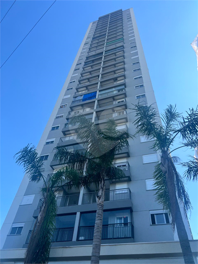 Foto REO1087352