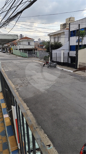 Foto REO1087360