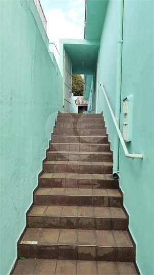Foto REO1087360