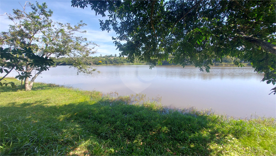 Foto REO1087365