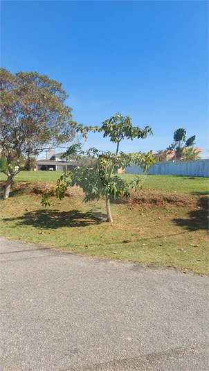 Foto REO1087365