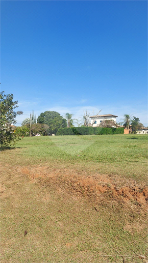 Foto REO1087365