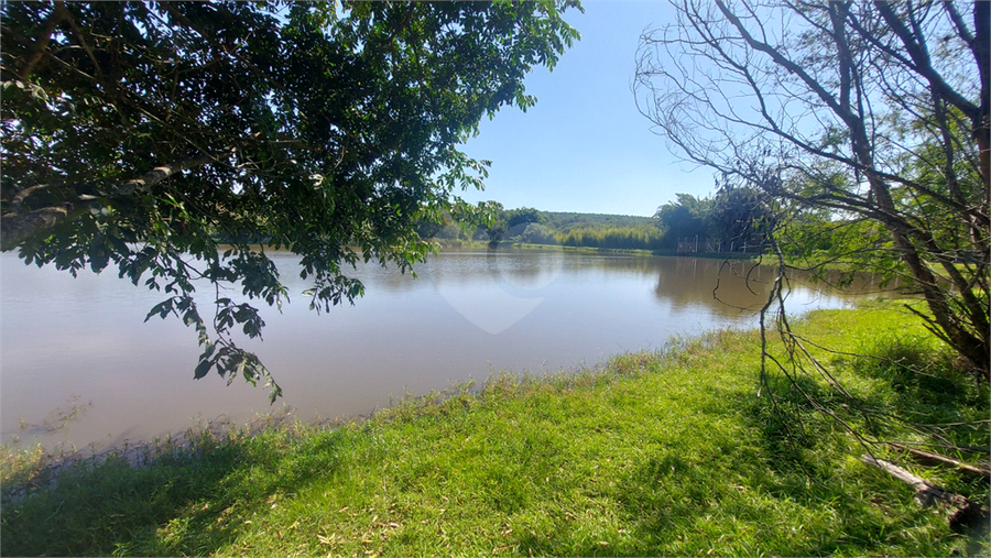 Foto REO1087365