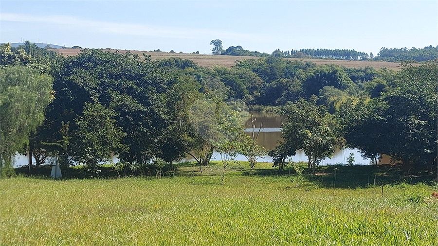 Foto REO1087365