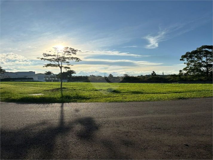 Foto REO1087369