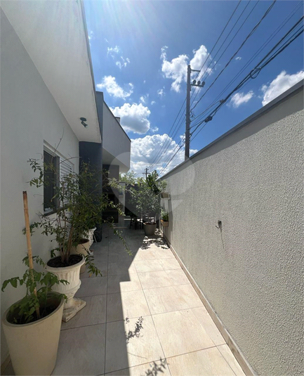 Foto REO1087373