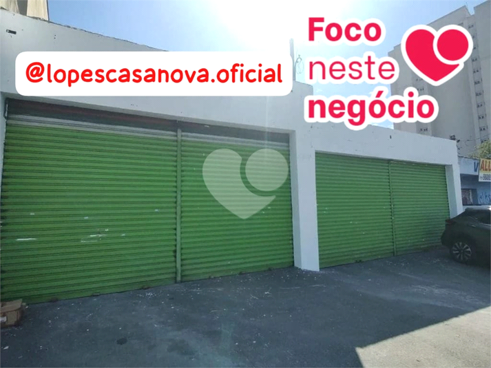 Foto REO1087384