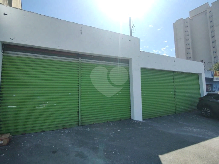 Foto REO1087384