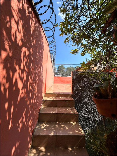 Foto REO1087387