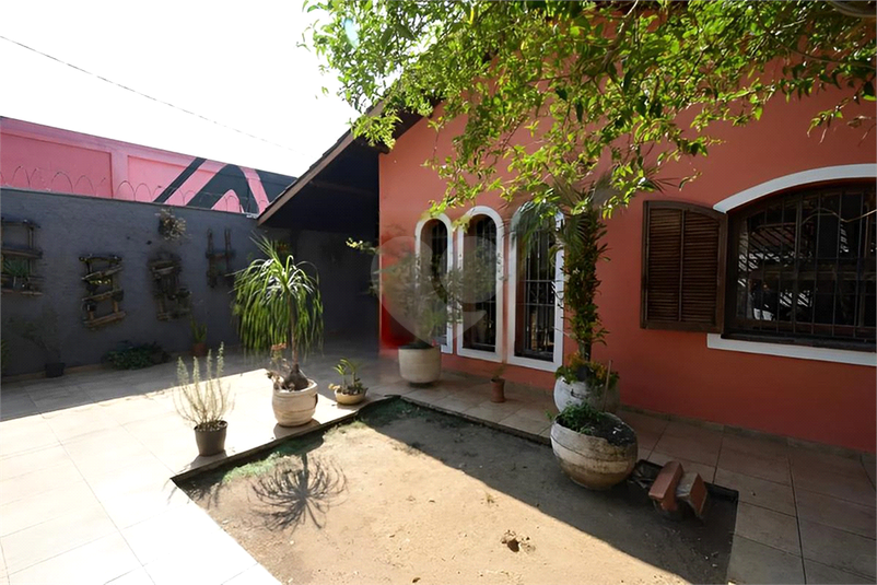 Foto REO1087387