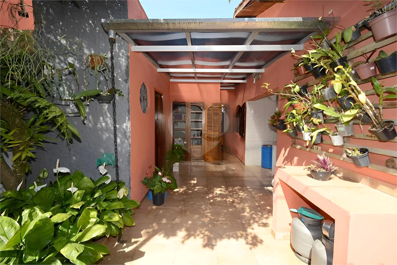 Foto REO1087387