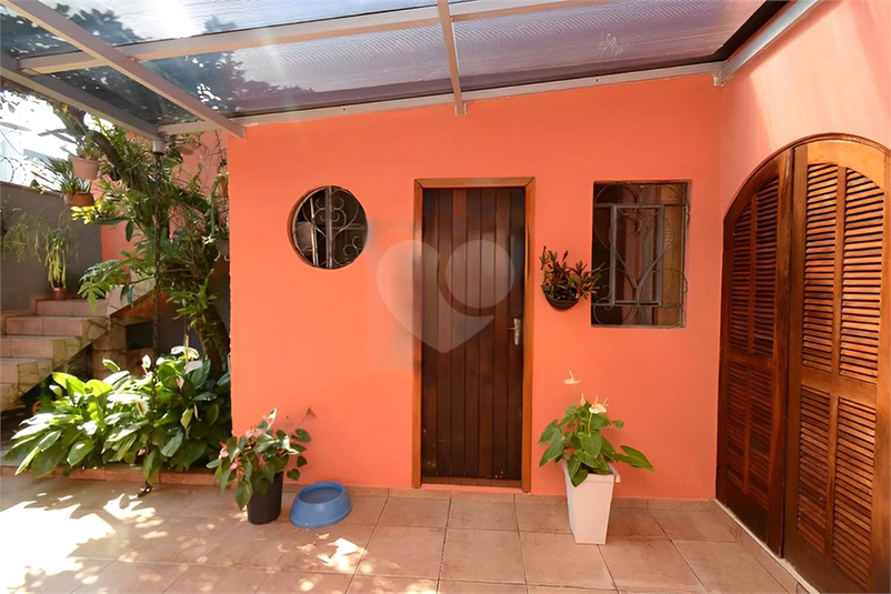 Foto REO1087387