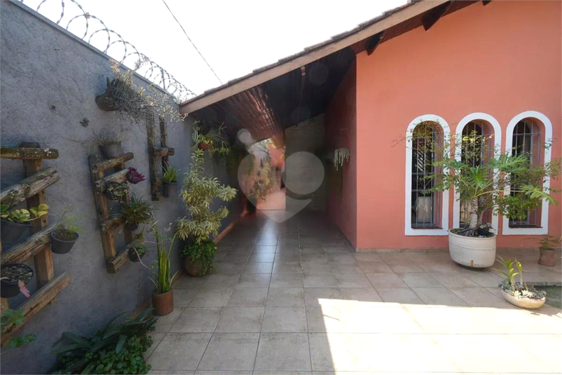 Foto REO1087387