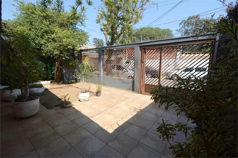 Foto REO1087387